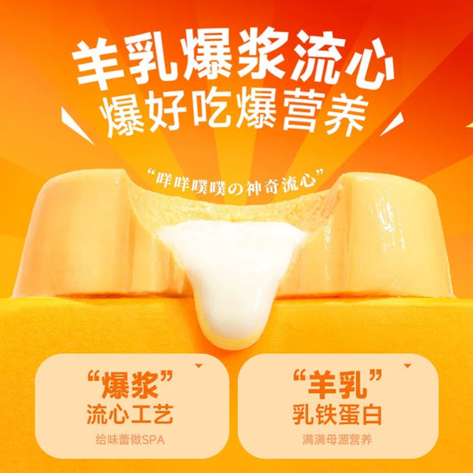 Bright Nutrition Box Salmon Complete Food for Cats and Dogs 100g