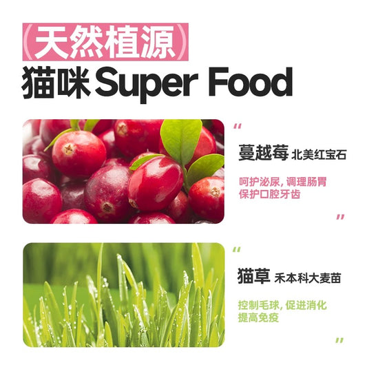 FreshTalk Freeze-Dried Barley Grass Chicken Breast Treats for Cats and Dogs 60g