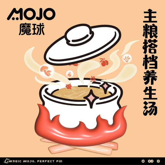 MOJO Nourishing Chicken Soup for Cats and Dogs 40g