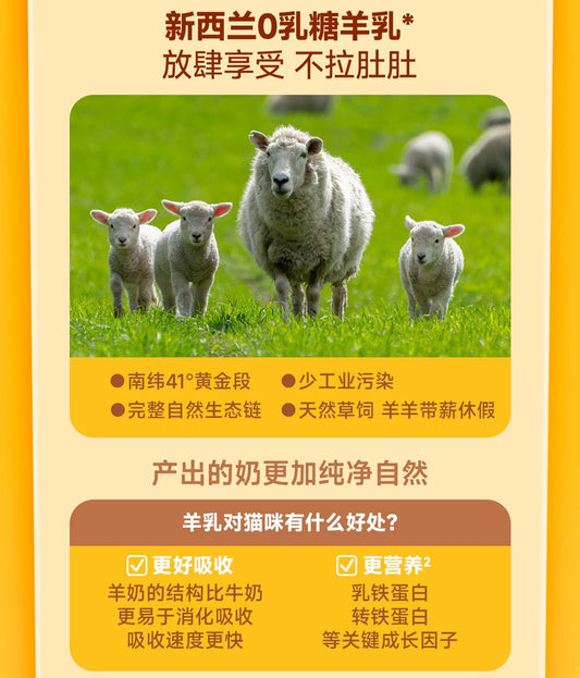 The Cat's Travel Bear Pudding Complete Wet Food for Cats 40g