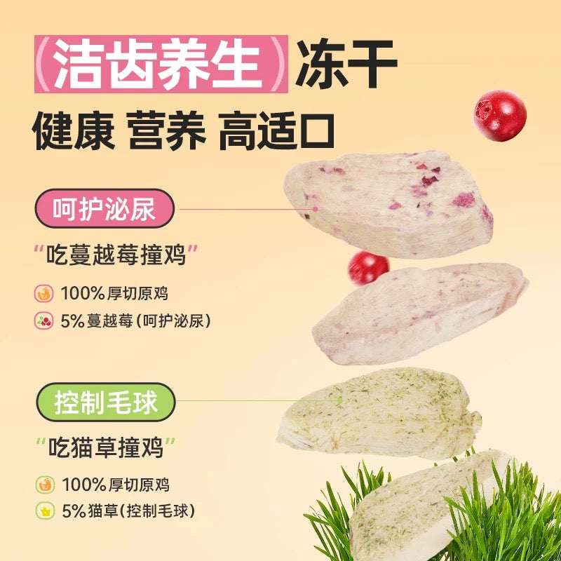 FreshTalk Freeze-Dried Barley Grass Chicken Breast Treats for Cats and Dogs 60g