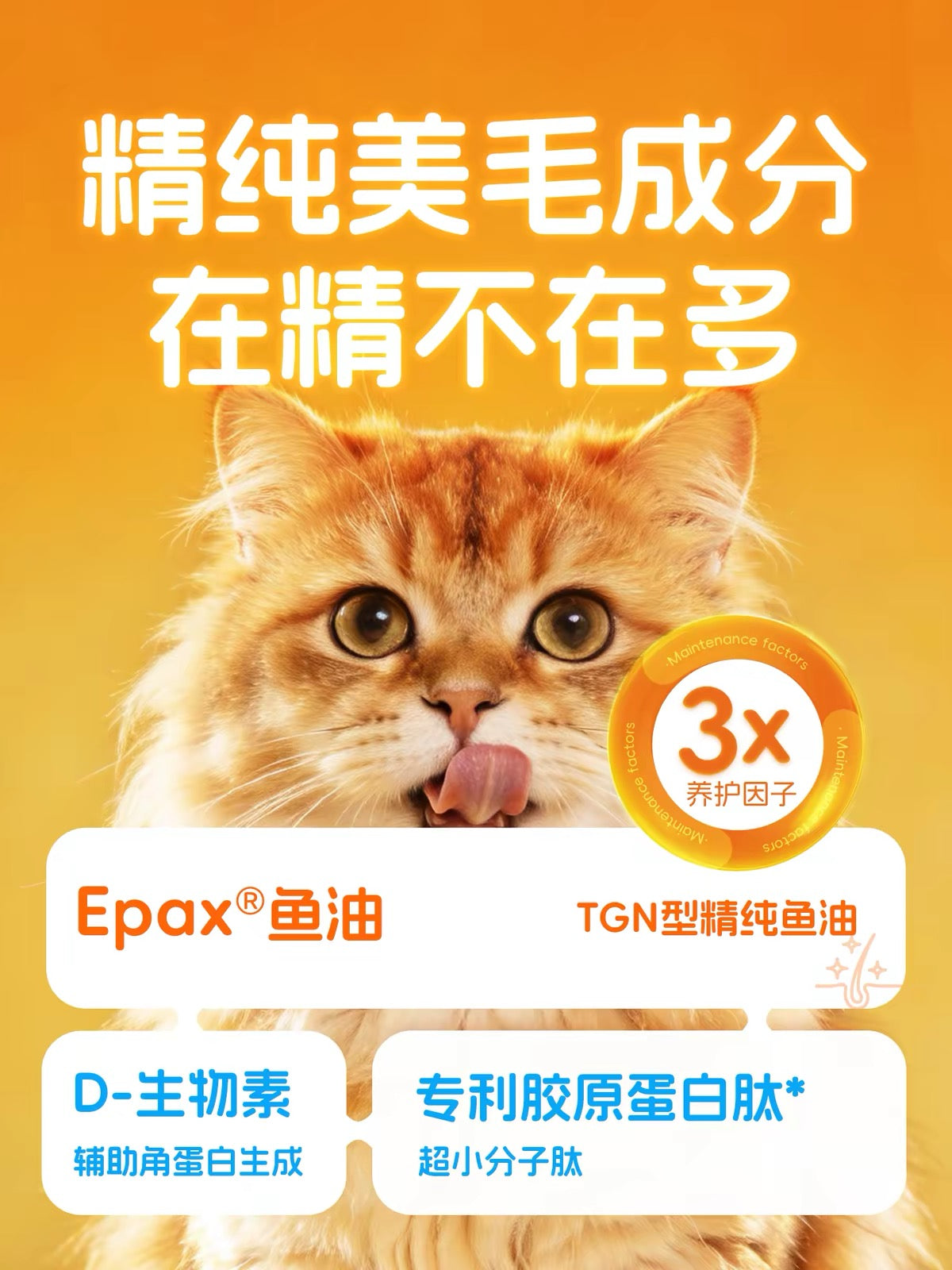 LoveAround Meal Box Complete Food for Cats 40g