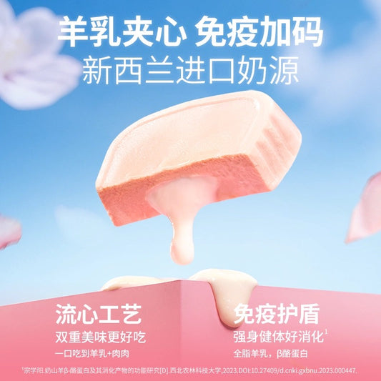 Bright Nutrition Box Chicken Complete Food for Cats and Dogs 100g