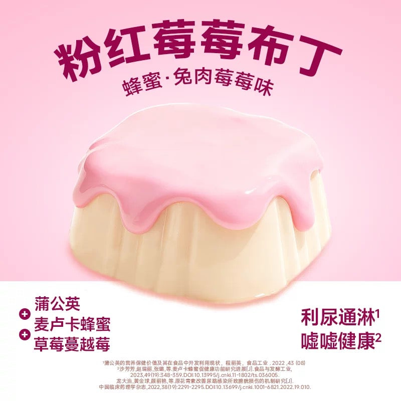 The Cat's Travel Bear Pudding Complete Wet Food for Cats 40g