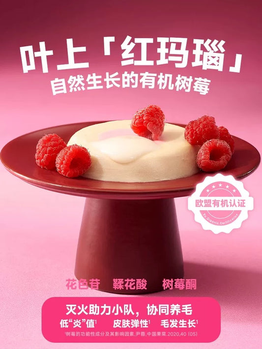 Bright NutriBox Berry Core Complete Wet Cat Food 50g