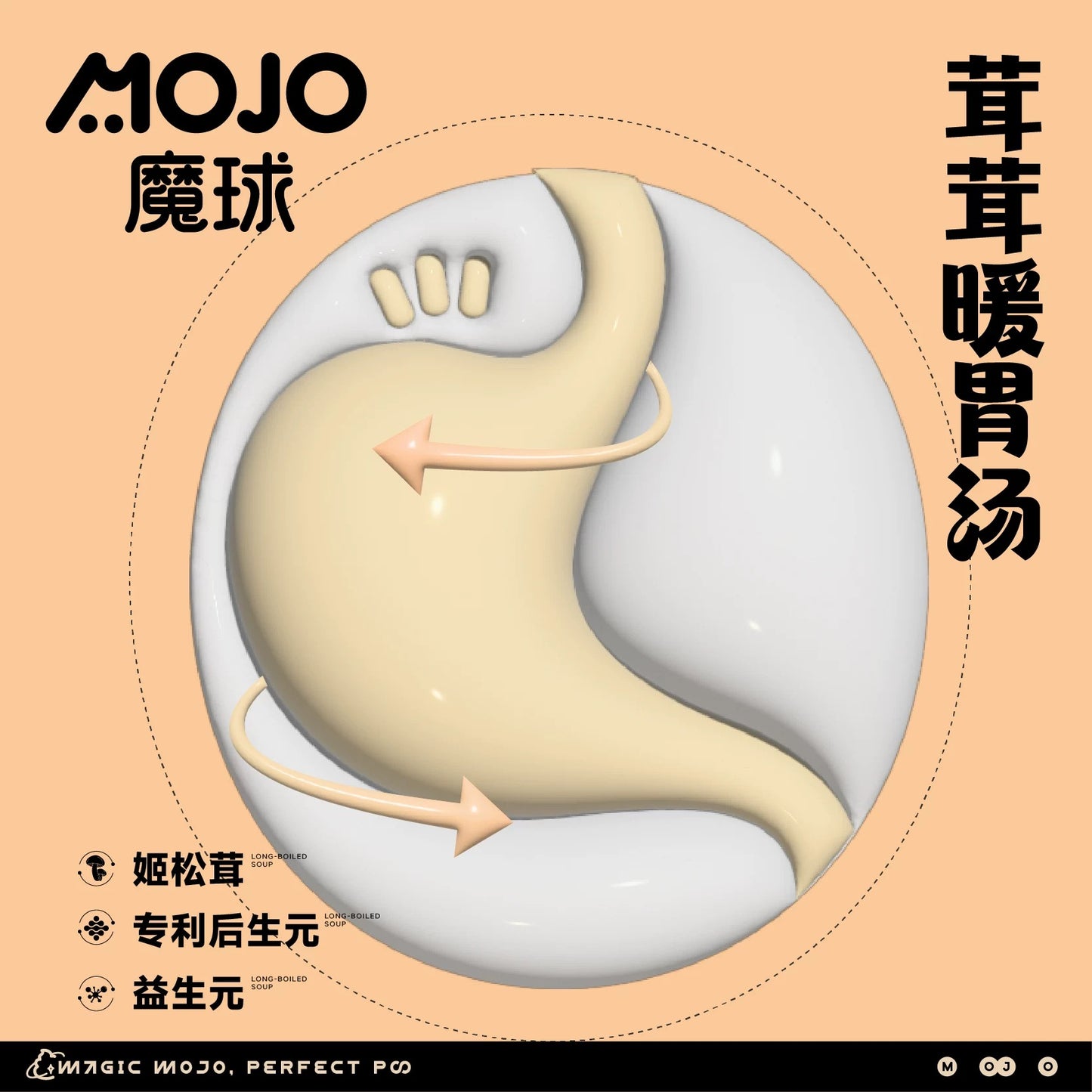 MOJO Nourishing Chicken Soup for Cats and Dogs 40g