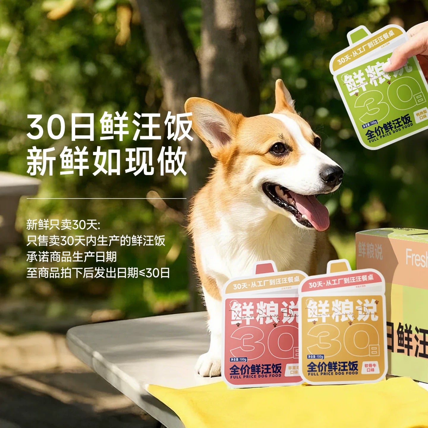 FreshTalk Complete Wet Food Pouch for Dogs 100g