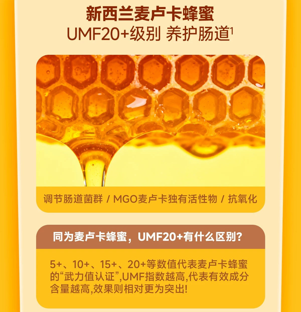 The Cat's Travel Bear Pudding Complete Wet Food for Cats 40g