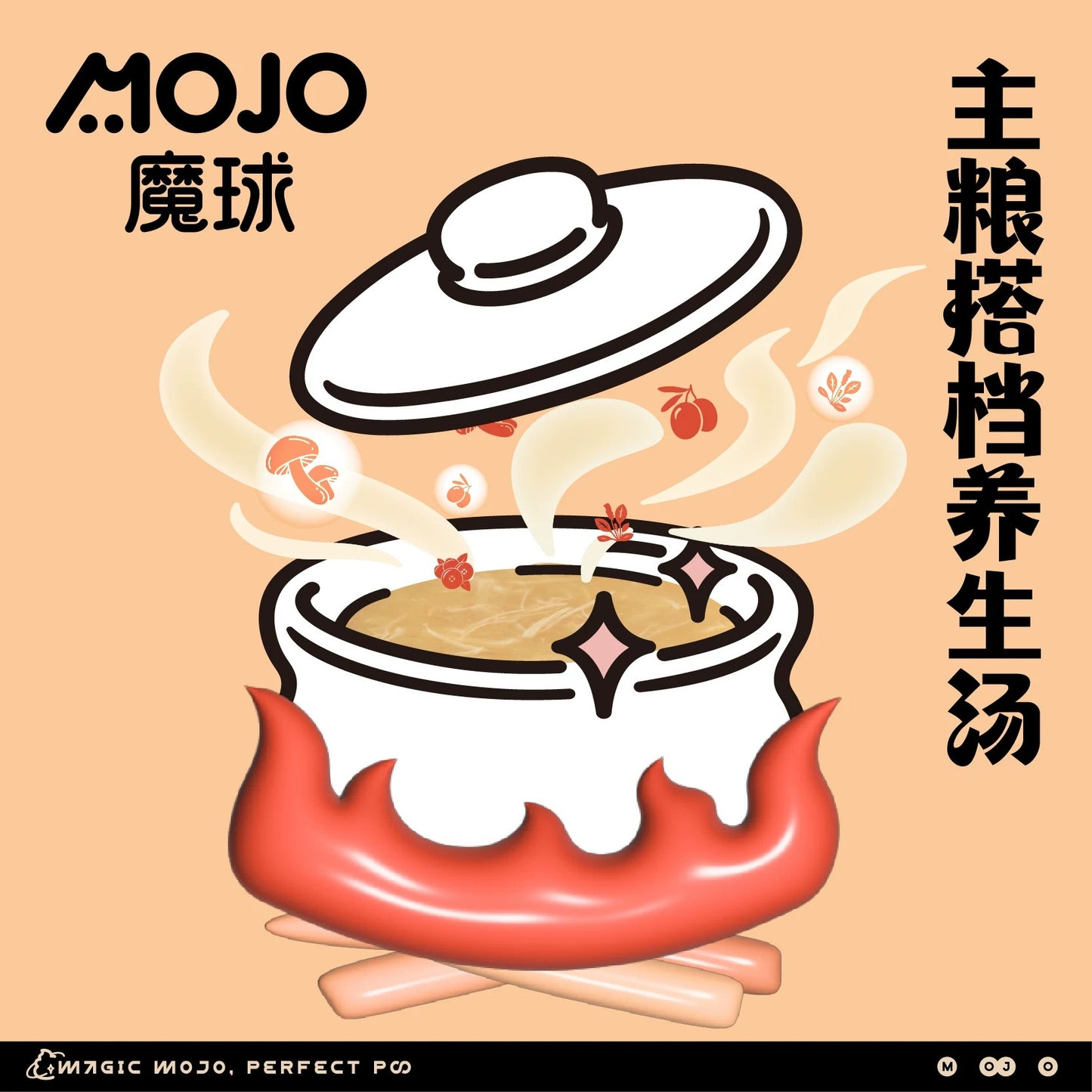 MOJO Nourishing Chicken Soup for Cats and Dogs 40g