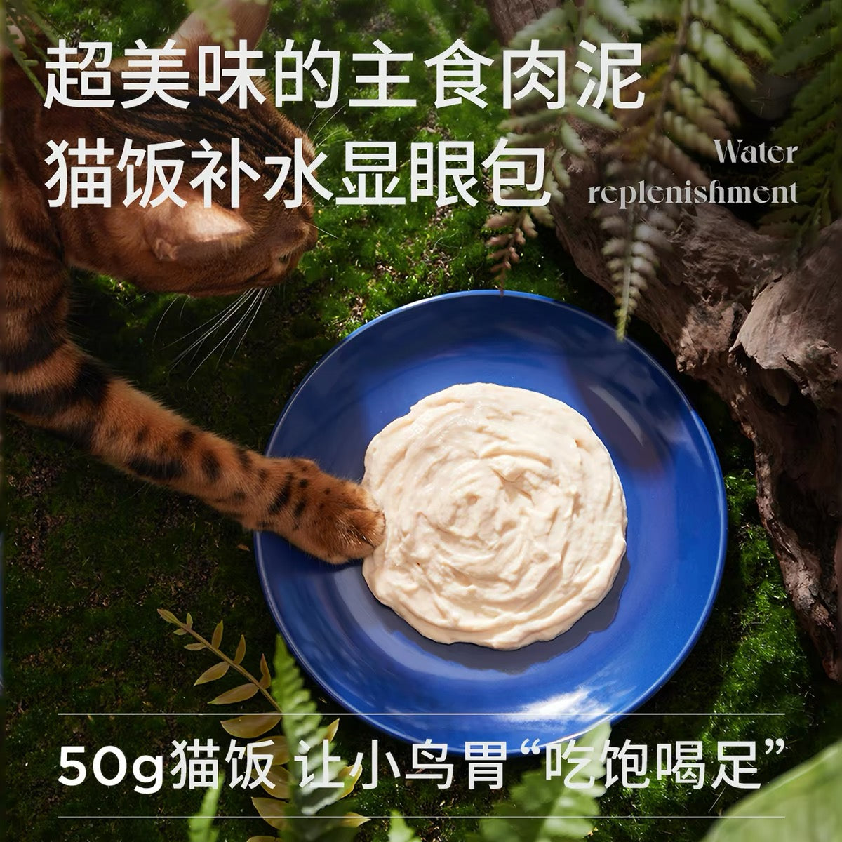 Legendsandy Steamed Fresh Pouch Complete Food for Cats 50g
