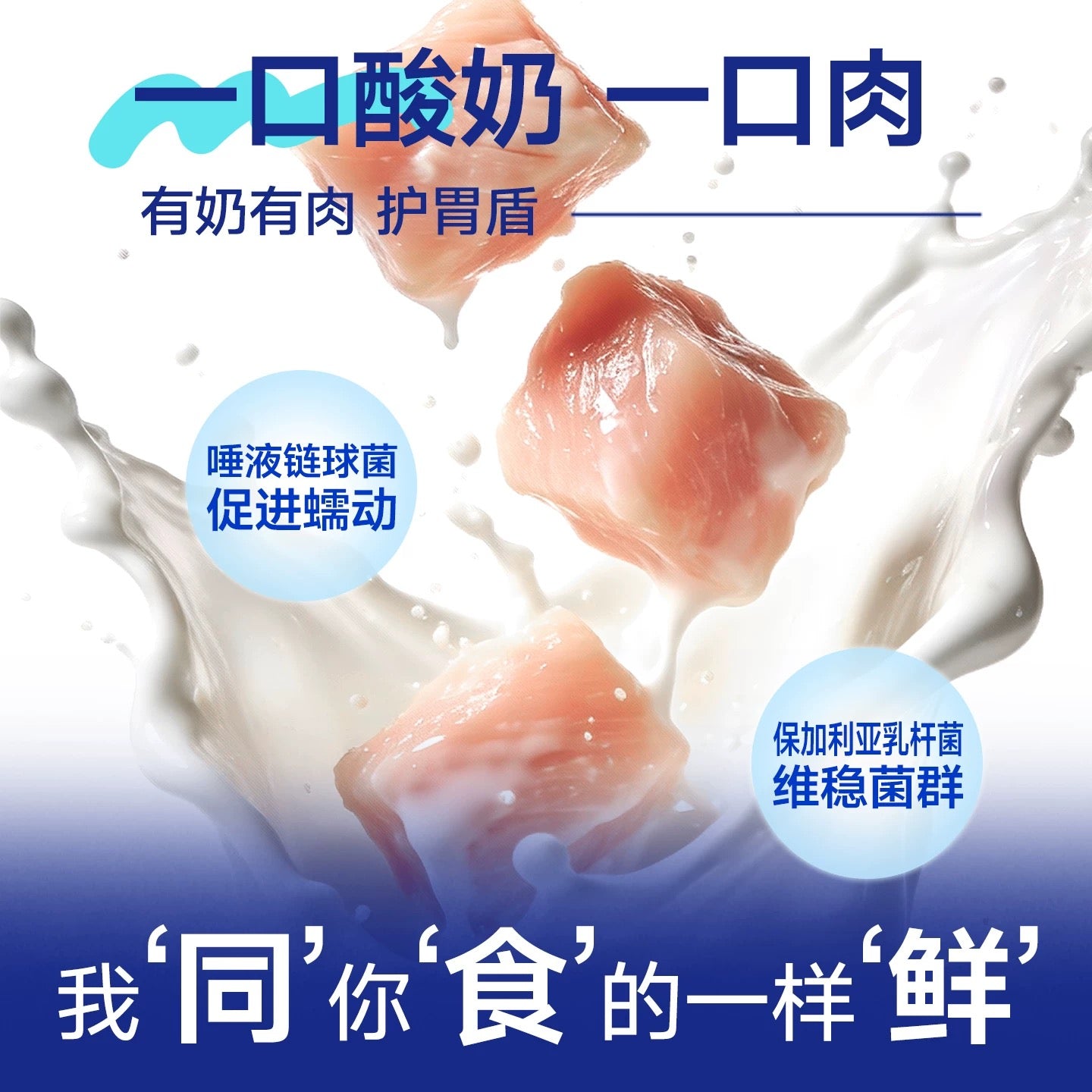 TongShi Freeze-Dried Yogurt Treats for Cats and Dogs 30g