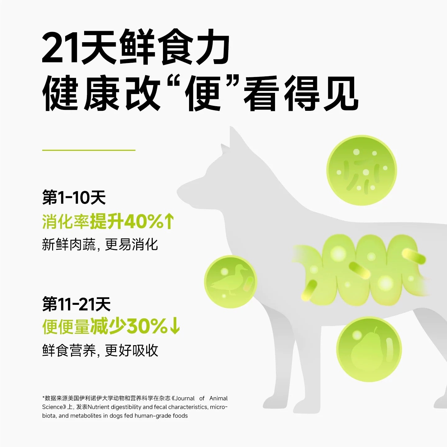 FreshTalk Complete Wet Food Pouch for Dogs 100g
