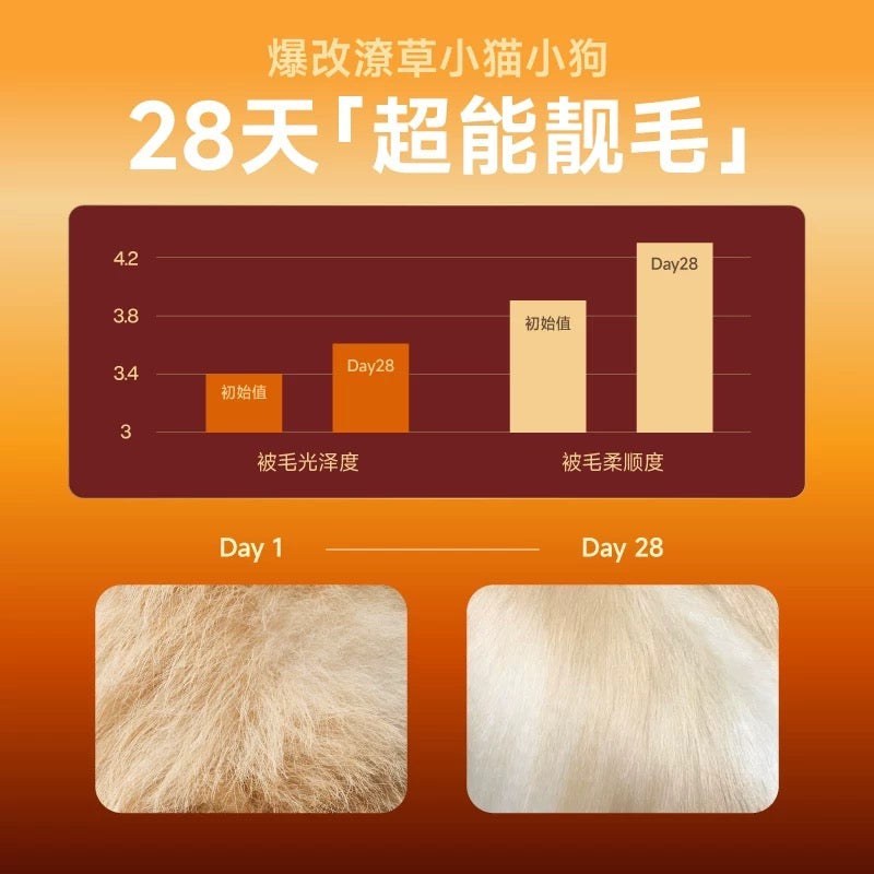 FurryTail Sun-Shaped Lava Complete Food for Cats 65g