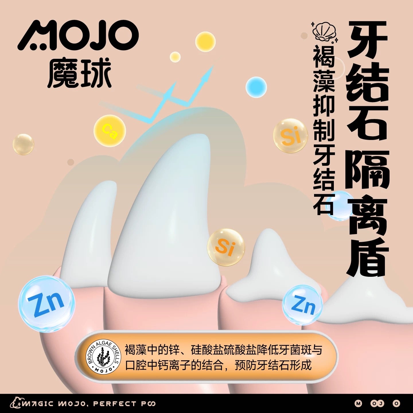 MOJO Freeze-Dried Clam Dental Treats for Cats and Dogs