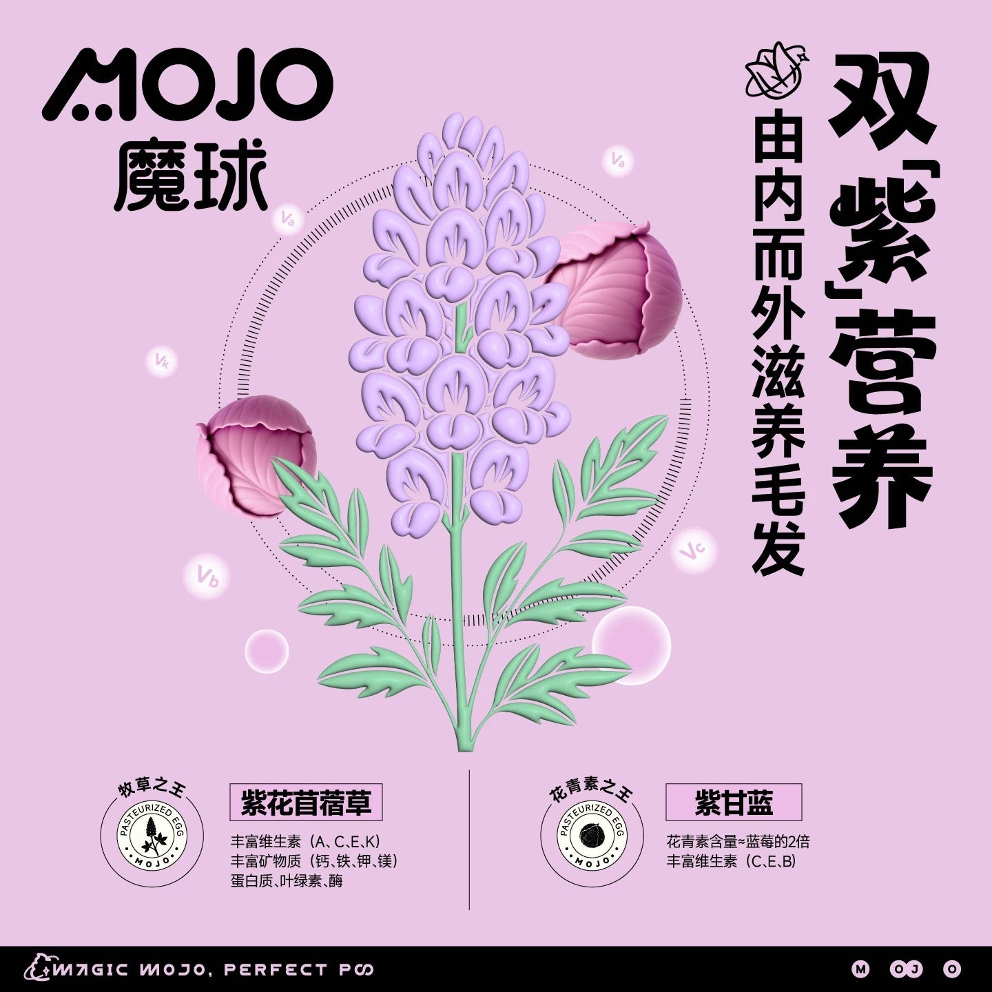 MOJO Freeze-Dried Purple Flower Treats for Cats and Dogs