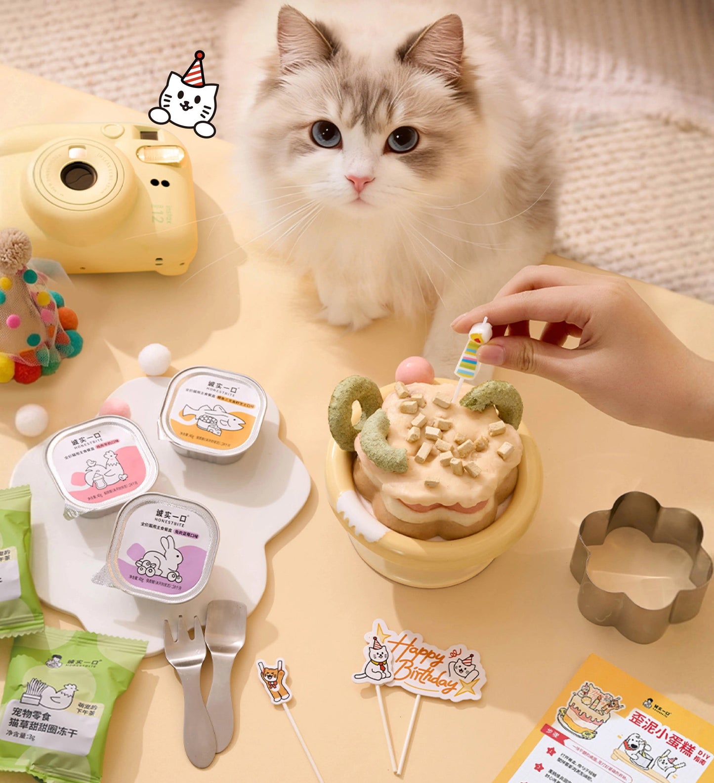 HonestBite DIY Birthday Cake Box for Cats