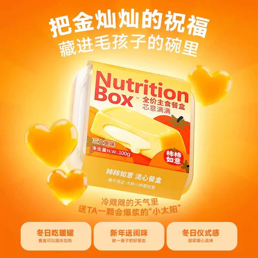 Bright Nutrition Box Salmon Complete Food for Cats and Dogs 100g