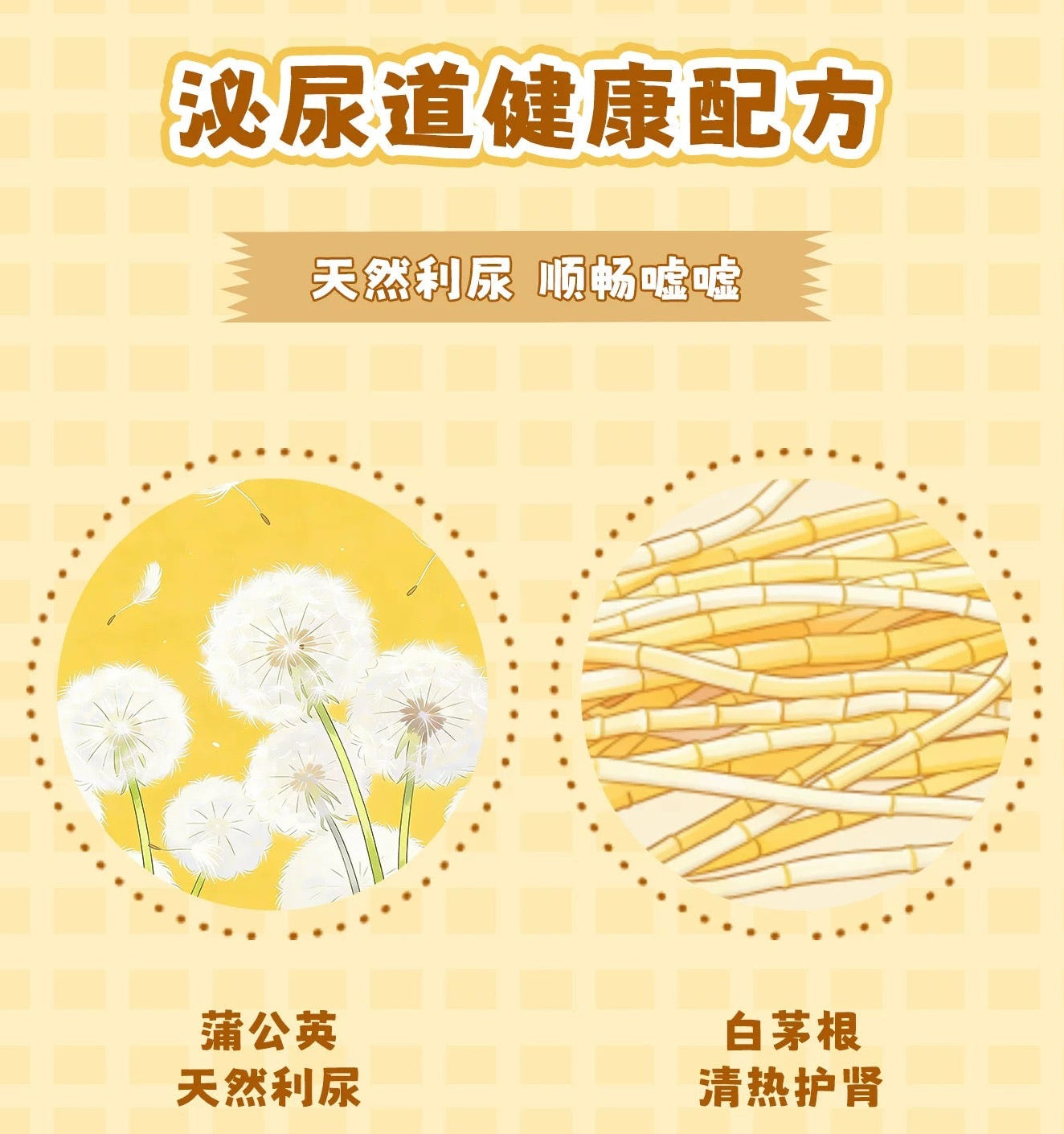 GoMaoGo Good Morning & Good Night Complete Food for Cats 40g